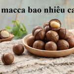 Hạt macca bao nhiêu calo? Trong mỗi hạt macca bao nhiêu calo?
