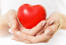 Ăn hạt macca có tốt không? ăn hạt macca có tốt không