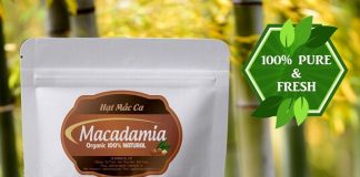 Giá hạt macca Việt Nam bao nhiêu? Giá hạt macca Việt Nam