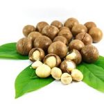 Hạt macca bao nhiêu tiền 1kg?