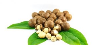 Hạt macca bao nhiêu tiền 1kg?