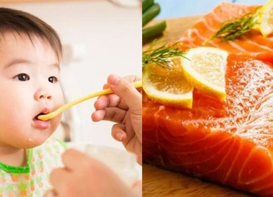 Dầu ăn cá hồi cho bé tốt nhất Top 5 dầu ăn cá hồi cho bé tốt nhất