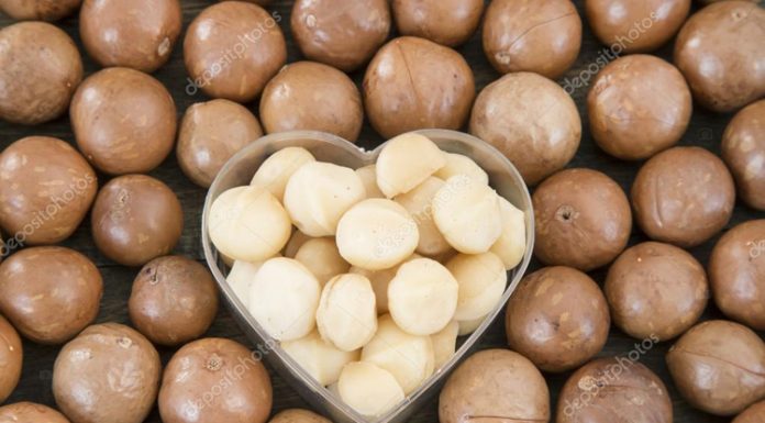 Ăn hạt macca có tác dụng gì đối với sức khỏe? Ăn hạt macca thường xuyên sẽ giúp bạn có một trái tim khỏe mạnh hơn