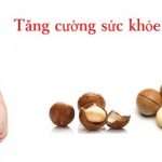 Hạt macca có tốt cho bà bầu không? Hạt macca giúp tăng cường sức khỏe bà bầu