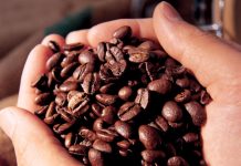 Cafe nguyên chất giá bao nhiêu và địa chỉ bán tin cậy? Không phải ai cũng biết lựa chọn cà phê nguyên chất