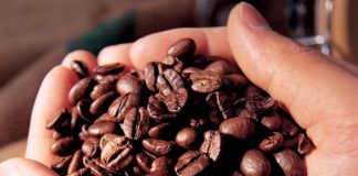 Cafe nguyên chất giá bao nhiêu và địa chỉ bán tin cậy? Không phải ai cũng biết lựa chọn cà phê nguyên chất