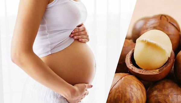 Phụ nữ mang thai được khuyên dùng nên sử dụng hạt macca thường xuyên
