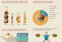 Giá hạt macca Việt Nam hiện nay là bao nhiêu? Hạt macca là thành phần quan trọng trong thực đơn giảm cân nhanh chóng, lành mạnh