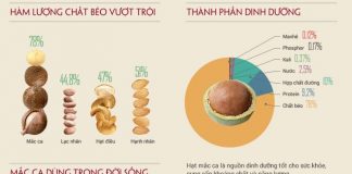 Hạt macca là thành phần quan trọng trong thực đơn giảm cân nhanh chóng, lành mạnh