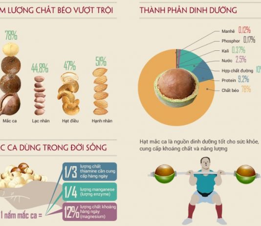 Giá hạt macca Việt Nam hiện nay là bao nhiêu? Hạt macca là thành phần quan trọng trong thực đơn giảm cân nhanh chóng, lành mạnh