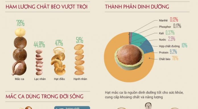 Giá hạt macca Việt Nam hiện nay là bao nhiêu? Hạt macca là thành phần quan trọng trong thực đơn giảm cân nhanh chóng, lành mạnh