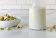 Hạt macca ăn sống được không? Cách rang hạt macca tươi Sữa hạt macca có nhiều lợi ích cho sức khỏe