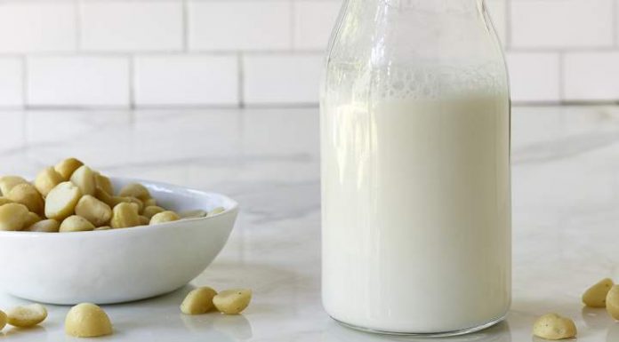 Hạt macca ăn sống được không? Cách rang hạt macca tươi Sữa hạt macca có nhiều lợi ích cho sức khỏe