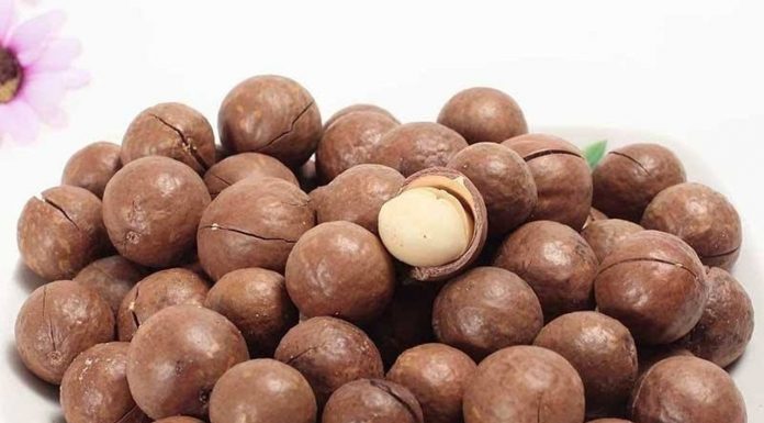 Hạt macca Úc giá bao nhiêu và mua ở đâu uy tín? Lựa chọn hạt macca Úc đúng cách