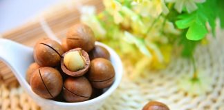 Hạt macca và hạt óc chó cái nào tốt hơn? Dù tốt nhưng chỉ nên ăn 10 - 15 hạt macca mỗi ngày
